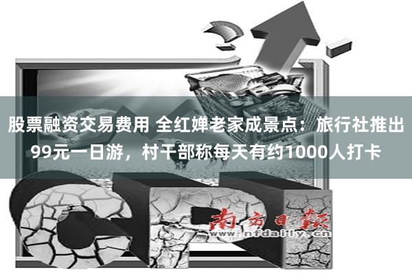 股票融资交易费用 全红婵老家成景点：旅行社推出99元一日游，村干部称每天有约1000人打卡