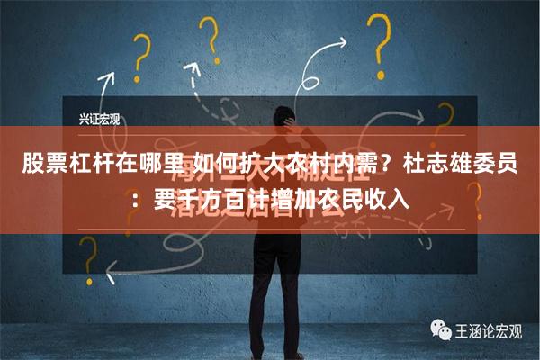 股票杠杆在哪里 如何扩大农村内需？杜志雄委员：要千方百计增加农民收入
