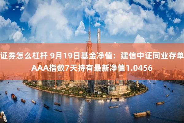 证券怎么杠杆 9月19日基金净值：建信中证同业存单AAA指数7天持有最新净值1.0456