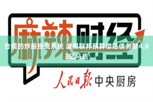 合规的炒股投资系统 波黑联邦预算偿还债务款4.83亿马克