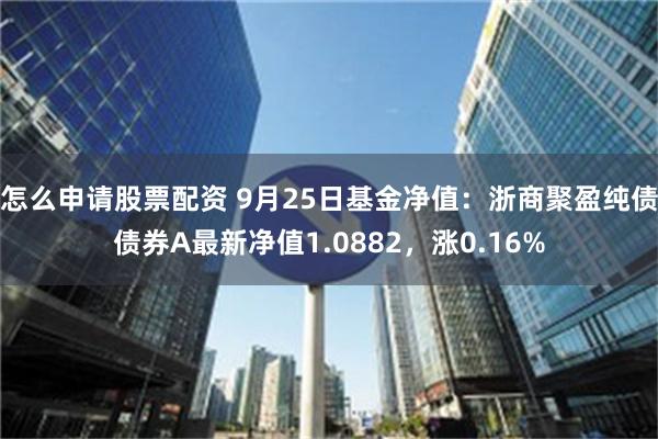 怎么申请股票配资 9月25日基金净值：浙商聚盈纯债债券A最新净值1.0882，涨0.16%