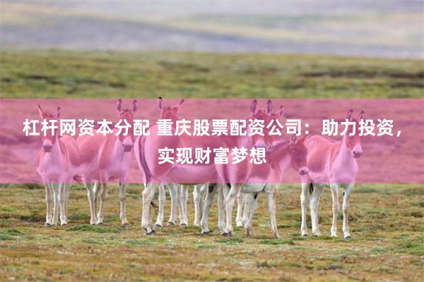 杠杆网资本分配 重庆股票配资公司：助力投资，实现财富梦想