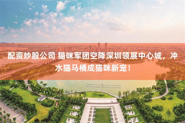配资炒股公司 猫咪军团空降深圳领展中心城，冲水猫马桶成猫咪新宠！