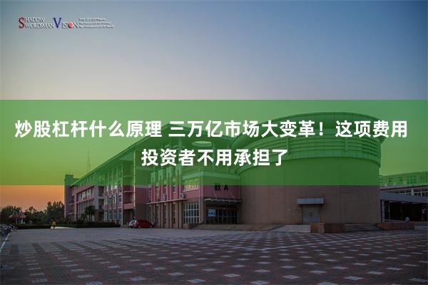 炒股杠杆什么原理 三万亿市场大变革！这项费用 投资者不用承担了