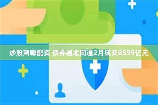 炒股到哪配资 债券通北向通2月成交8599亿元