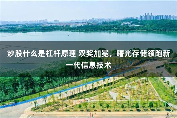 炒股什么是杠杆原理 双奖加冕，曙光存储领跑新一代信息技术