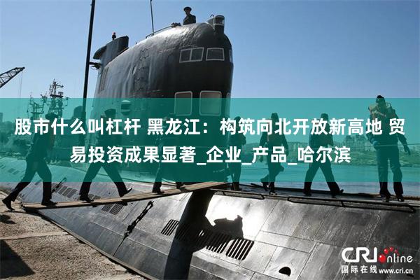 股市什么叫杠杆 黑龙江：构筑向北开放新高地 贸易投资成果显著_企业_产品_哈尔滨