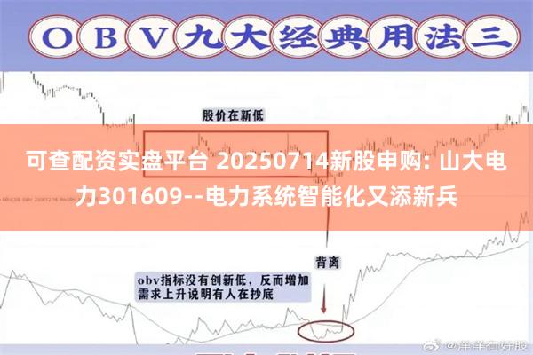 可查配资实盘平台 20250714新股申购: 山大电力301609--电力系统智能化又添新兵