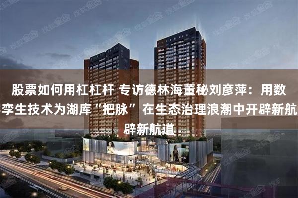 股票如何用杠杠杆 专访德林海董秘刘彦萍：用数字孪生技术为湖库“把脉” 在生态治理浪潮中开辟新航道