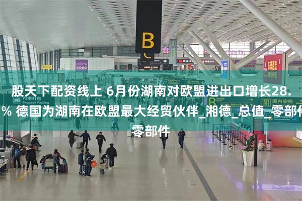 股天下配资线上 6月份湖南对欧盟进出口增长28.3% 德国为湖南在欧盟最大经贸伙伴_湘德_总值_零部件