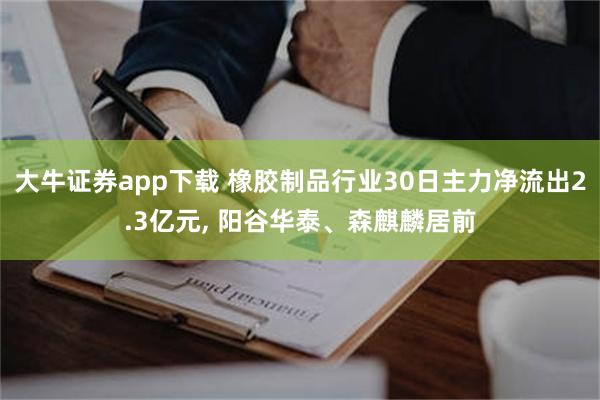 大牛证券app下载 橡胶制品行业30日主力净流出2.3亿元, 阳谷华泰、森麒麟居前