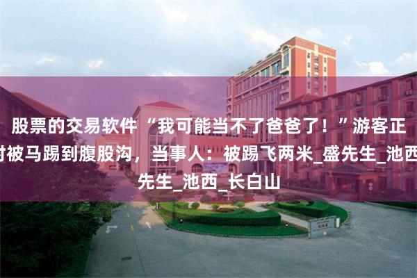 股票的交易软件 “我可能当不了爸爸了！”游客正要上马时被马踢到腹股沟，当事人：被踢飞两米_盛先生_池西_长白山