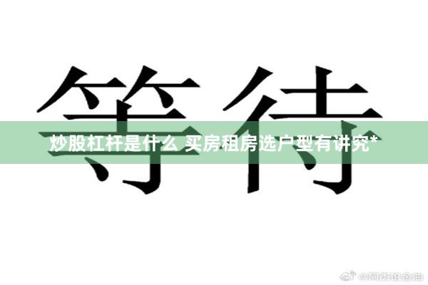 炒股杠杆是什么 买房租房选户型有讲究*