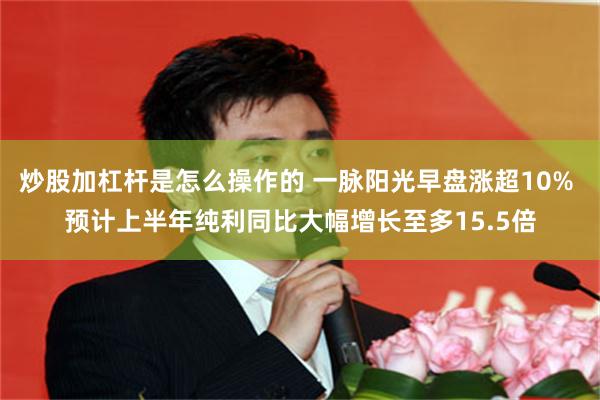 炒股加杠杆是怎么操作的 一脉阳光早盘涨超10% 预计上半年纯利同比大幅增长至多15.5倍