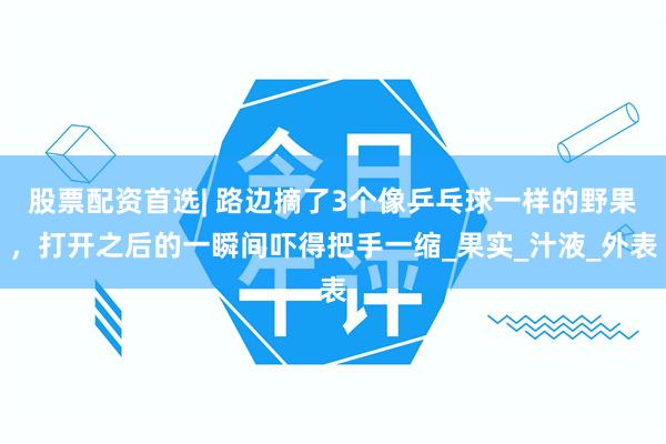 股票配资首选| 路边摘了3个像乒乓球一样的野果，打开之后的一瞬间吓得把手一缩_果实_汁液_外表