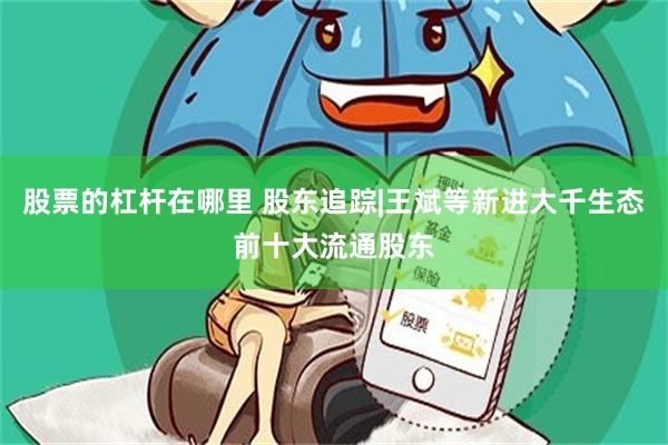 股票的杠杆在哪里 股东追踪|王斌等新进大千生态前十大流通股东